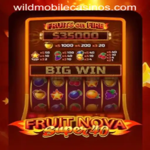 FruitNovaSuper40: A Closer Look at the Wild Casino Experience